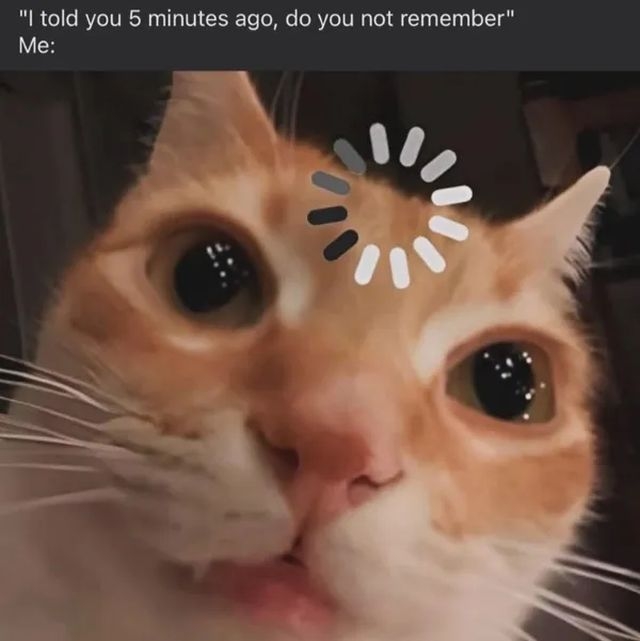 funnymemes530_030
