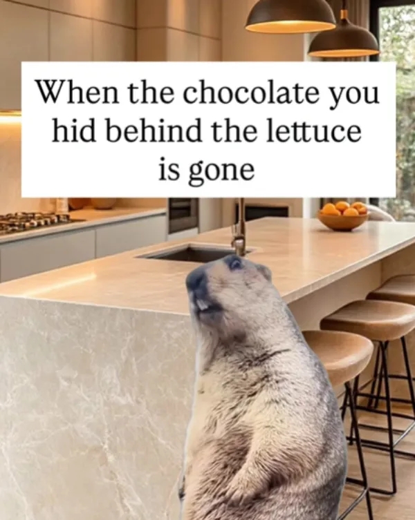 funnymemes530_032