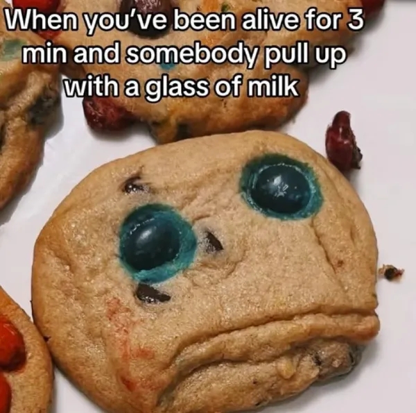 funnymemes530_039