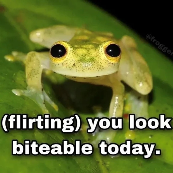 funnymemes531_001