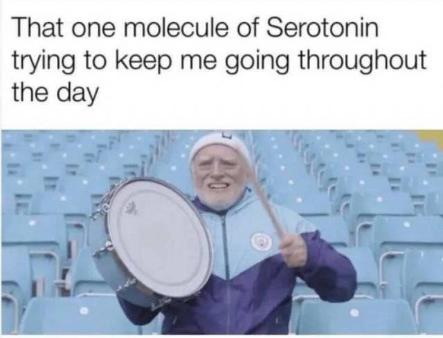 funnymemes531_005