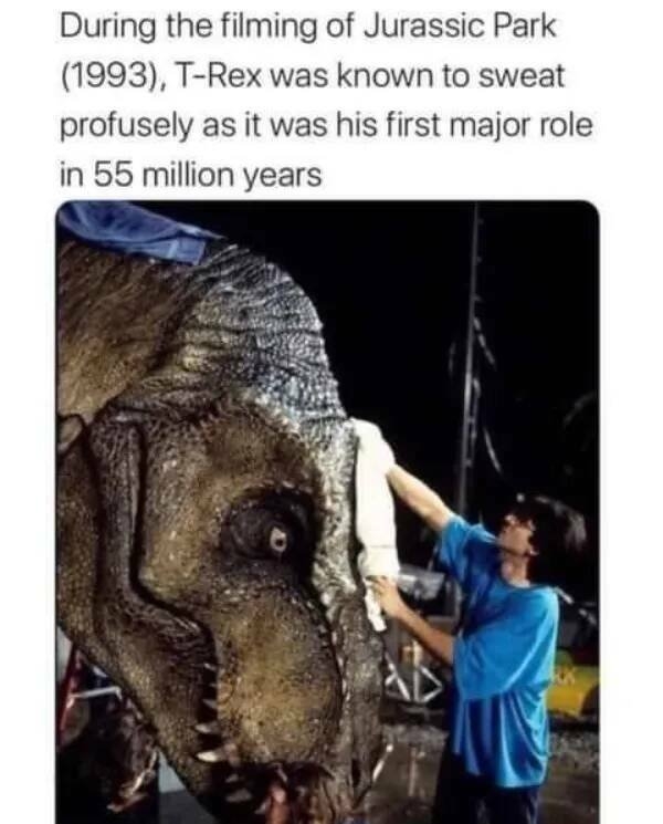 funnymemes531_009