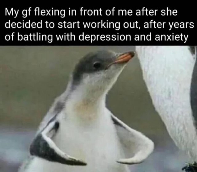 funnymemes531_011