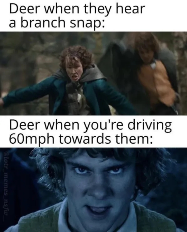 funnymemes534_007