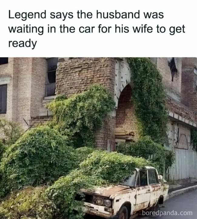 funnymemes534_029