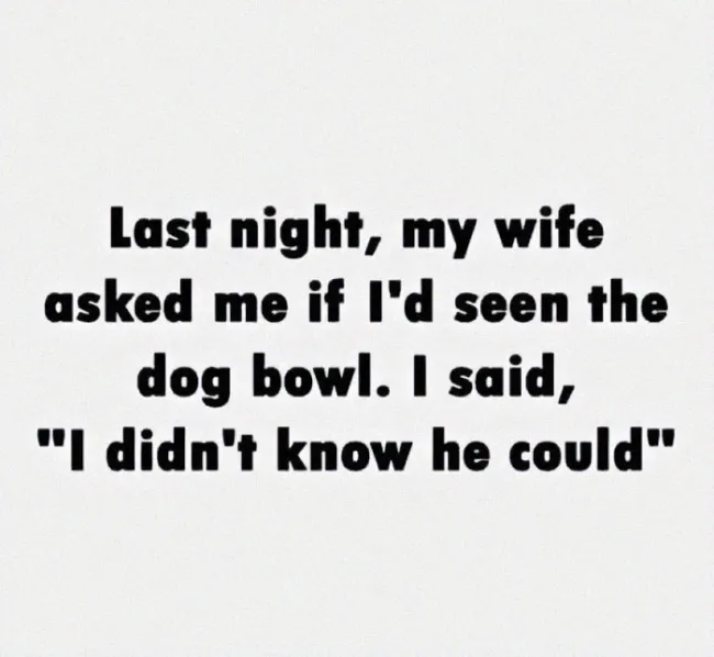 funnymemes534_034