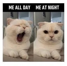 funnymemes536_006