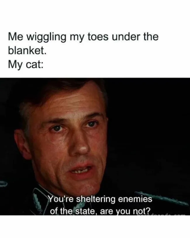 funnymemes536_010