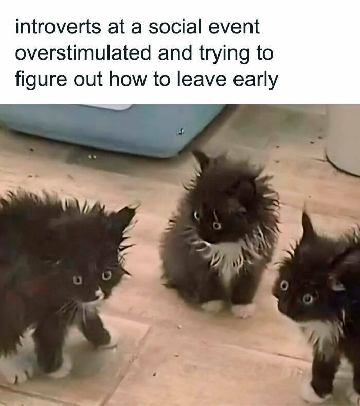 funnymemes536_021