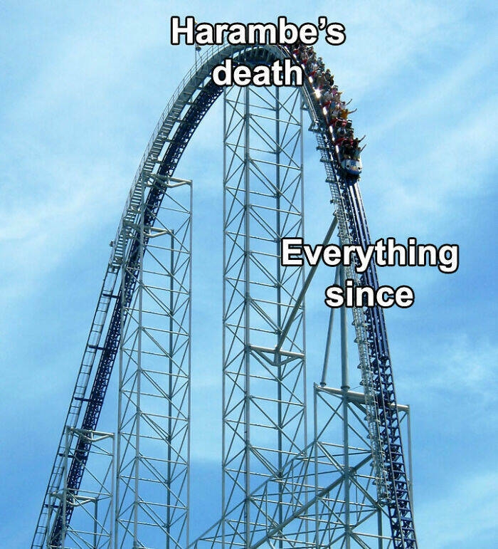 funnymemes536_024