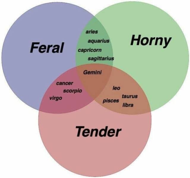 funnymemes536_030