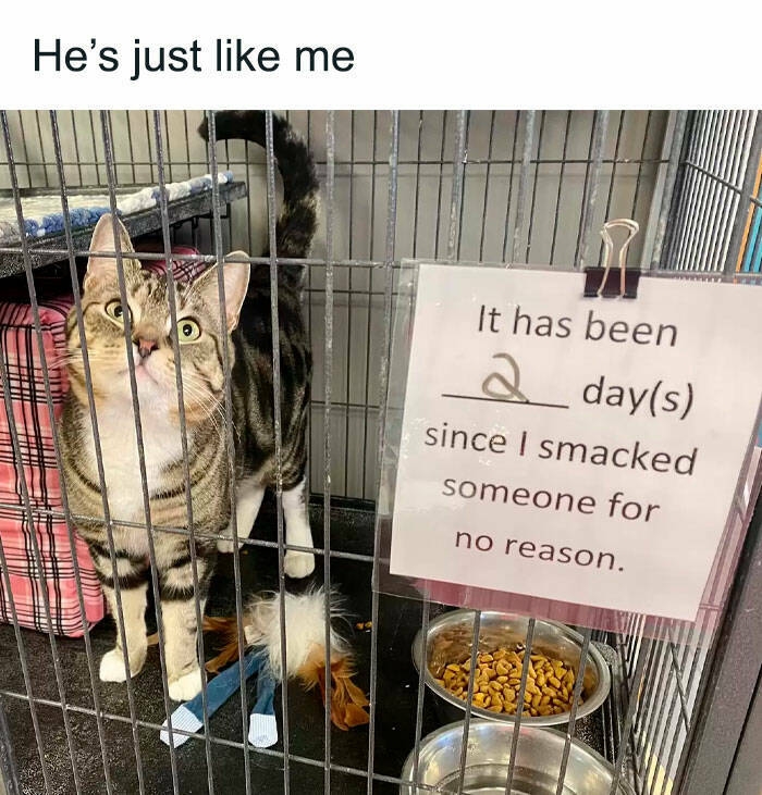 funnymemes536_032