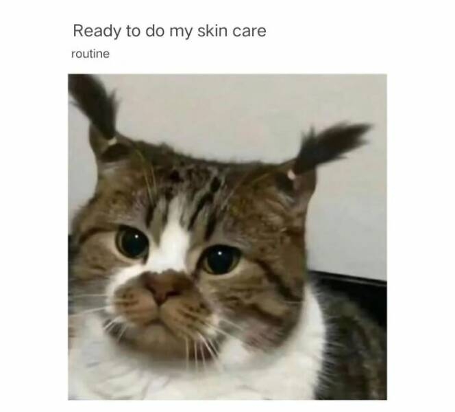 funnymemes536_034