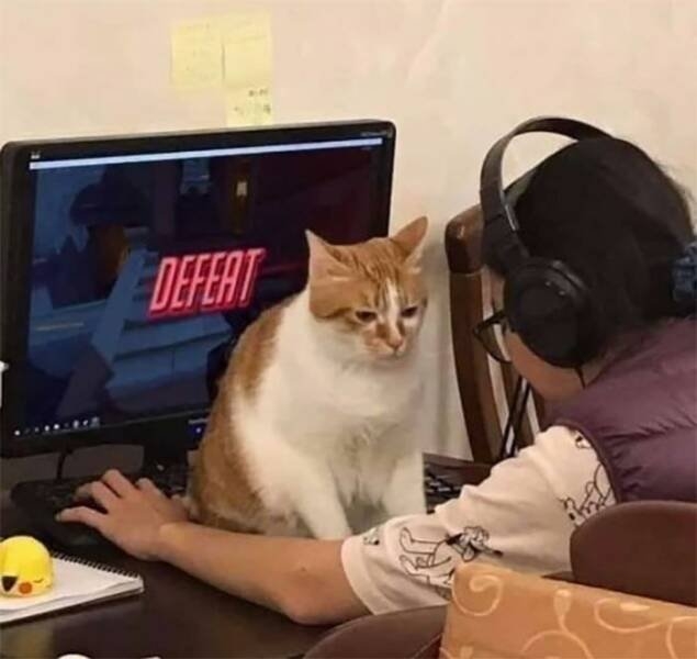 gamermemes44_020