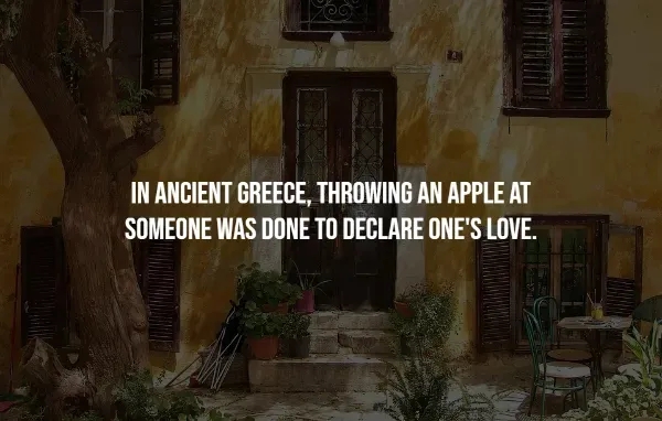 interestingfacts370_004