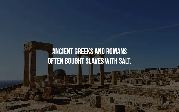 interestingfacts370_005