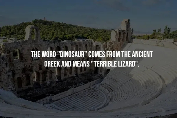 interestingfacts370_010