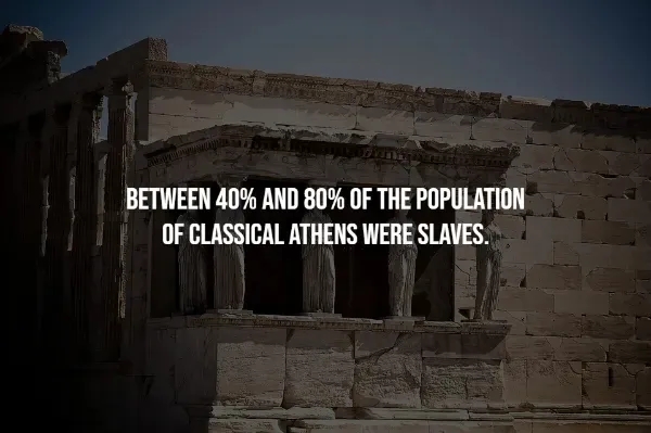 interestingfacts370_011