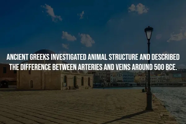 interestingfacts370_014