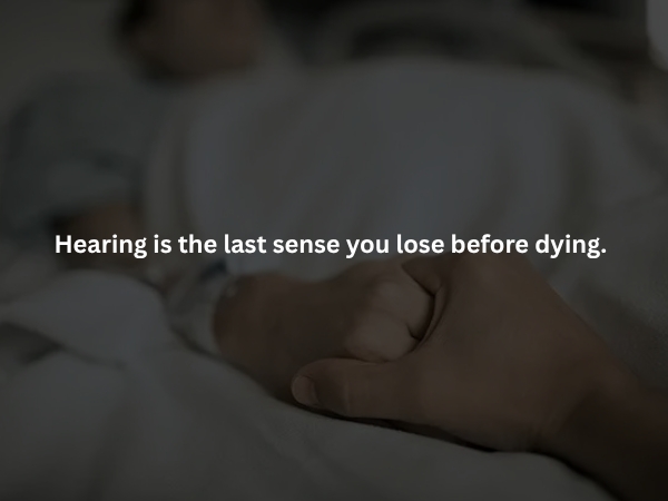interestingfacts373_001