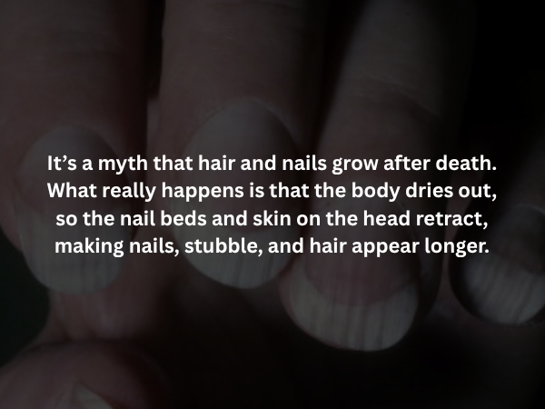 interestingfacts373_003
