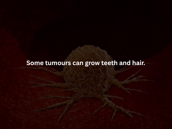 interestingfacts373_005