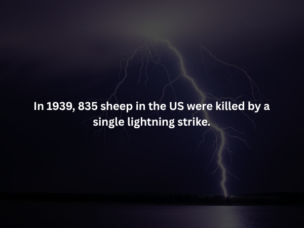 interestingfacts373_007