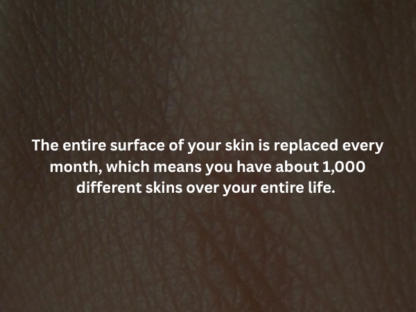 interestingfacts373_009
