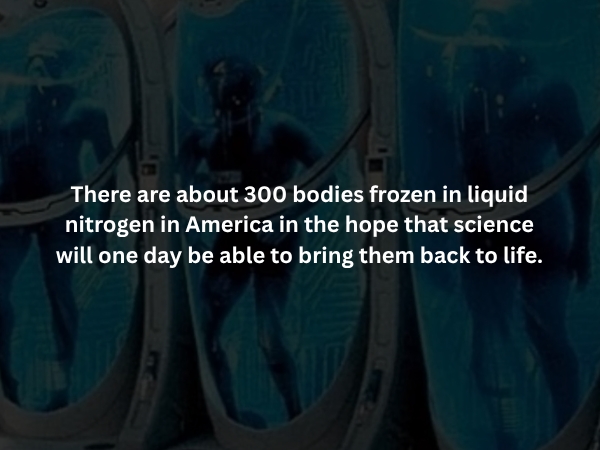 interestingfacts373_010