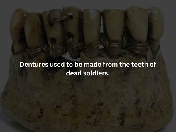 interestingfacts373_014