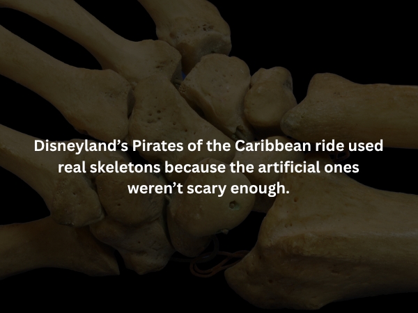 interestingfacts373_015
