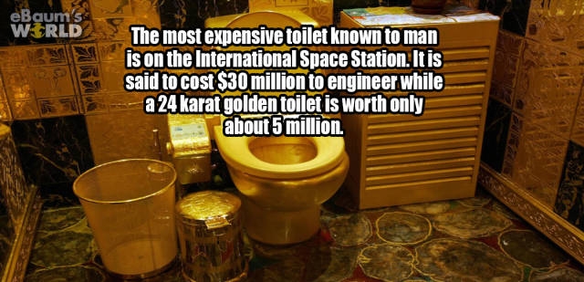 interestingfacts374_002