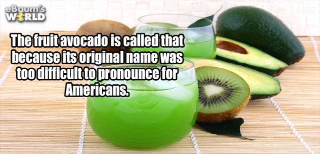 interestingfacts374_003