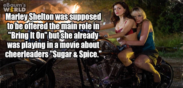 interestingfacts374_010
