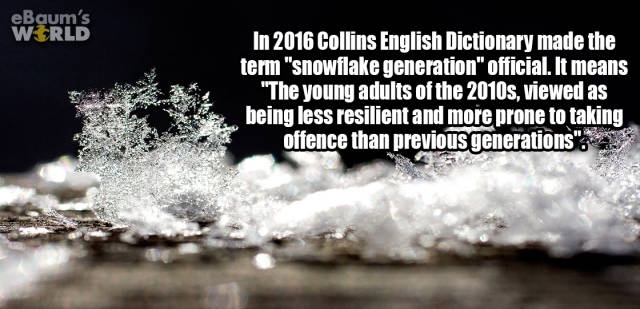 interestingfacts374_013