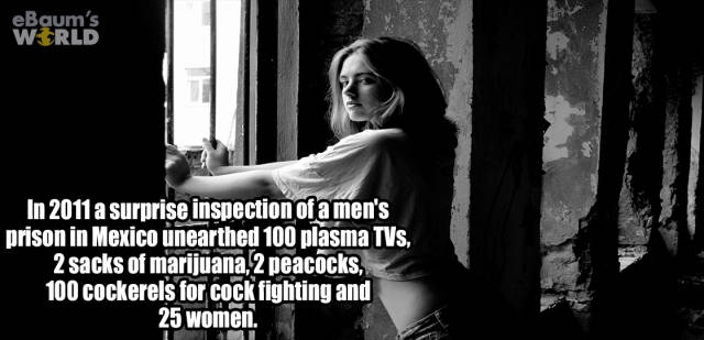 interestingfacts374_015