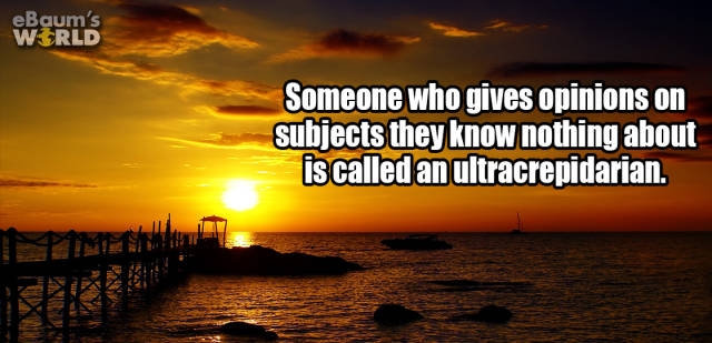 interestingfacts374_018