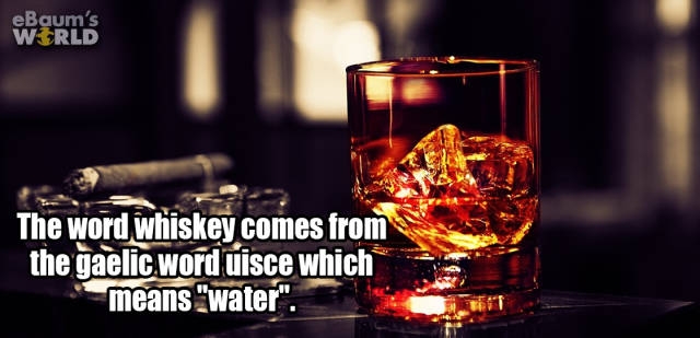 interestingfacts374_034