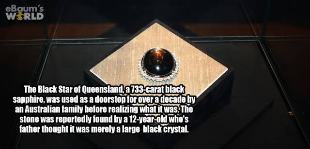 interestingfacts374_037