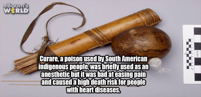 interestingfacts374_042