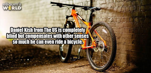 interestingfacts374_043