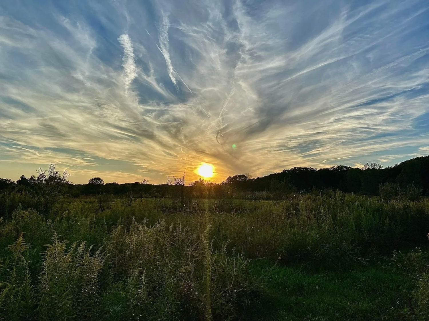 naturephotos34_002