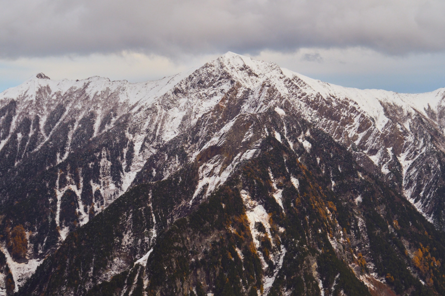 naturephotos34_003