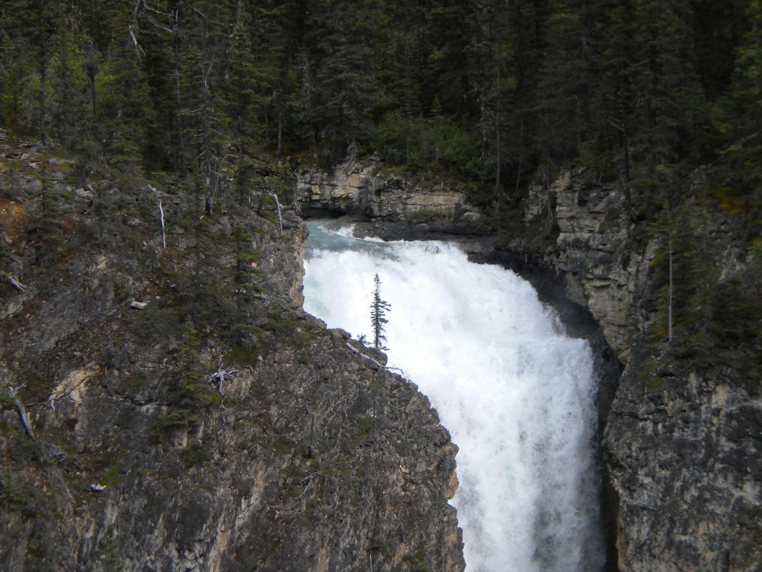 naturephotos34_004