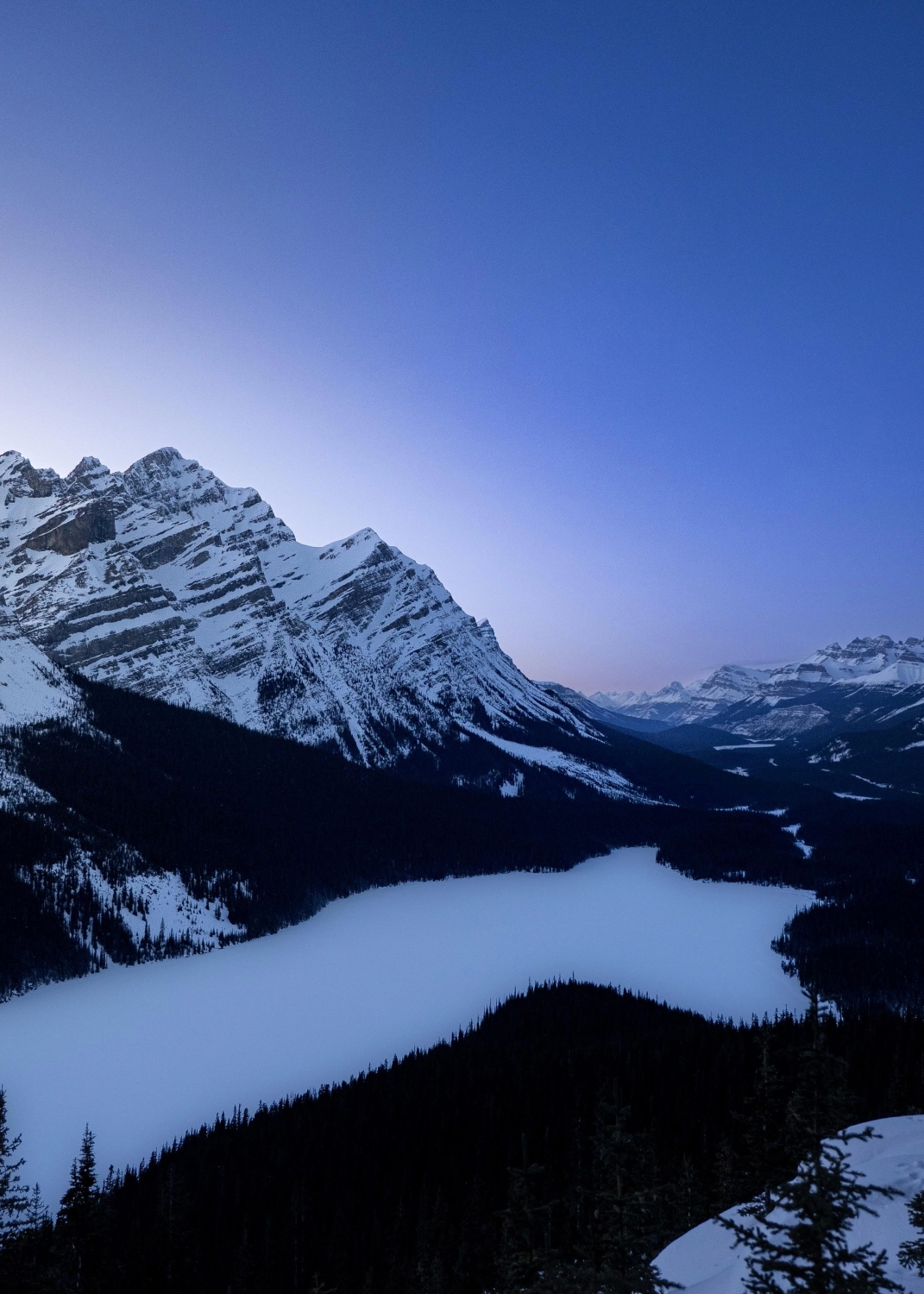 naturephotos34_005