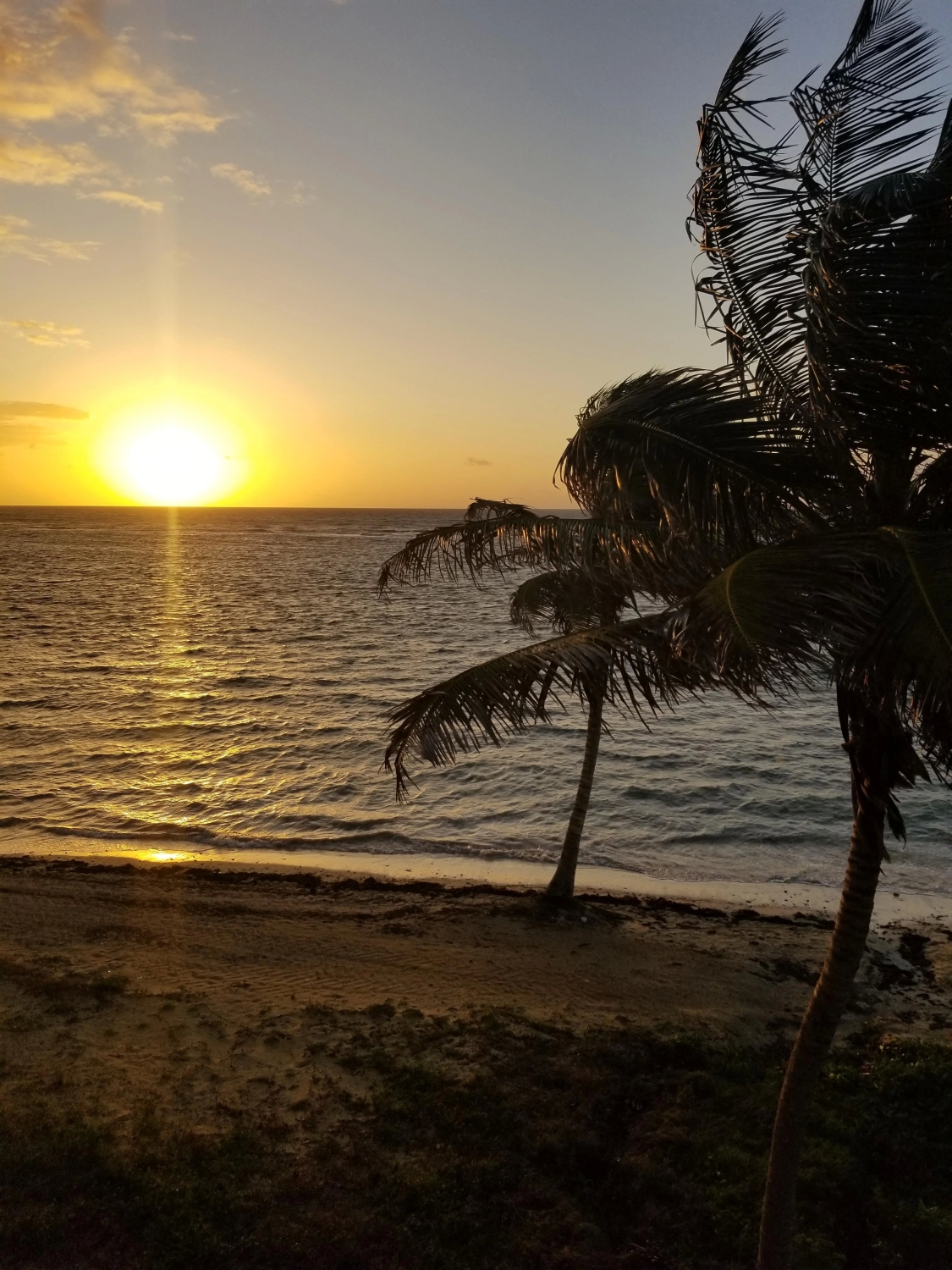 naturephotos34_006