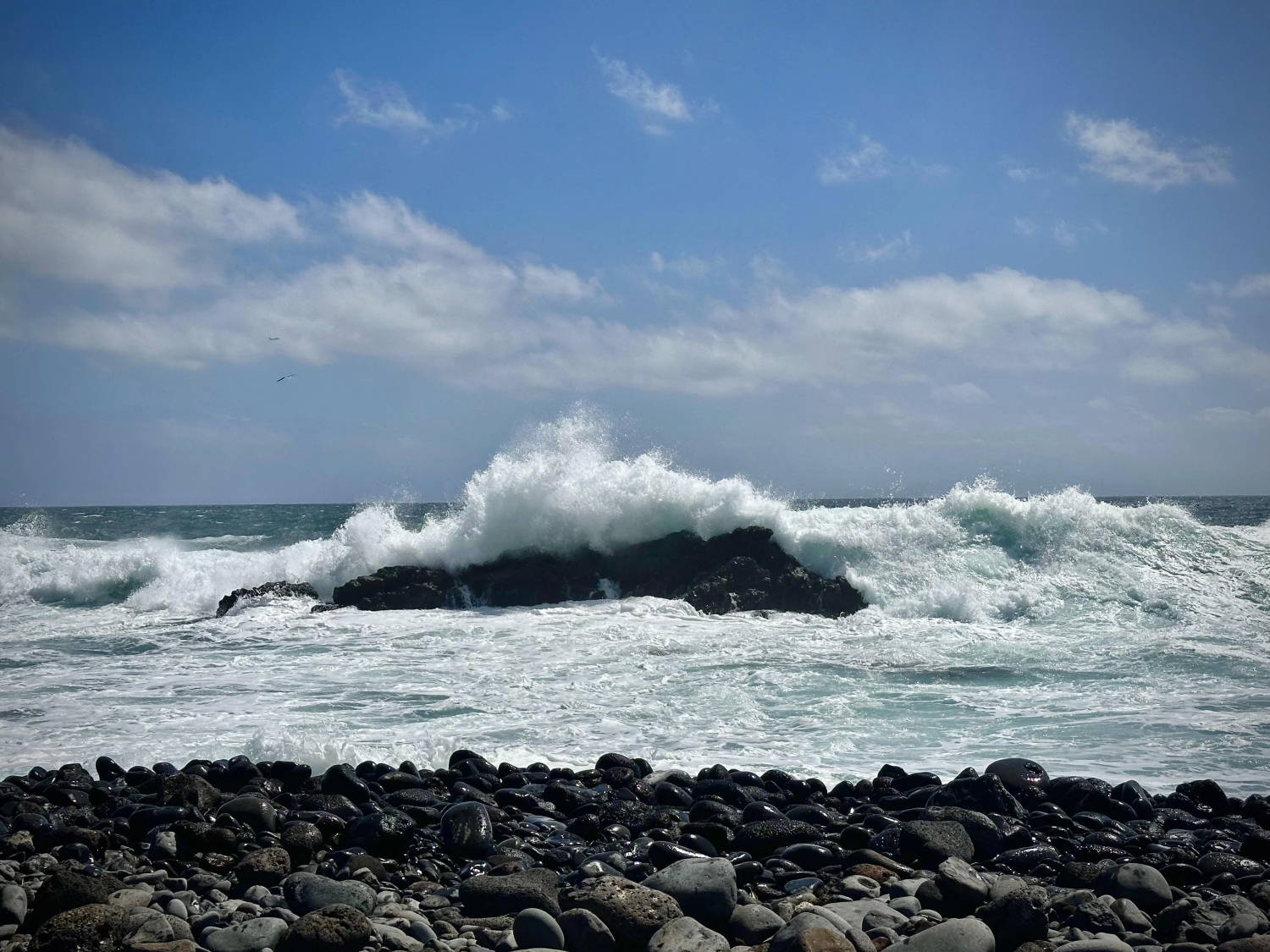 naturephotos34_009