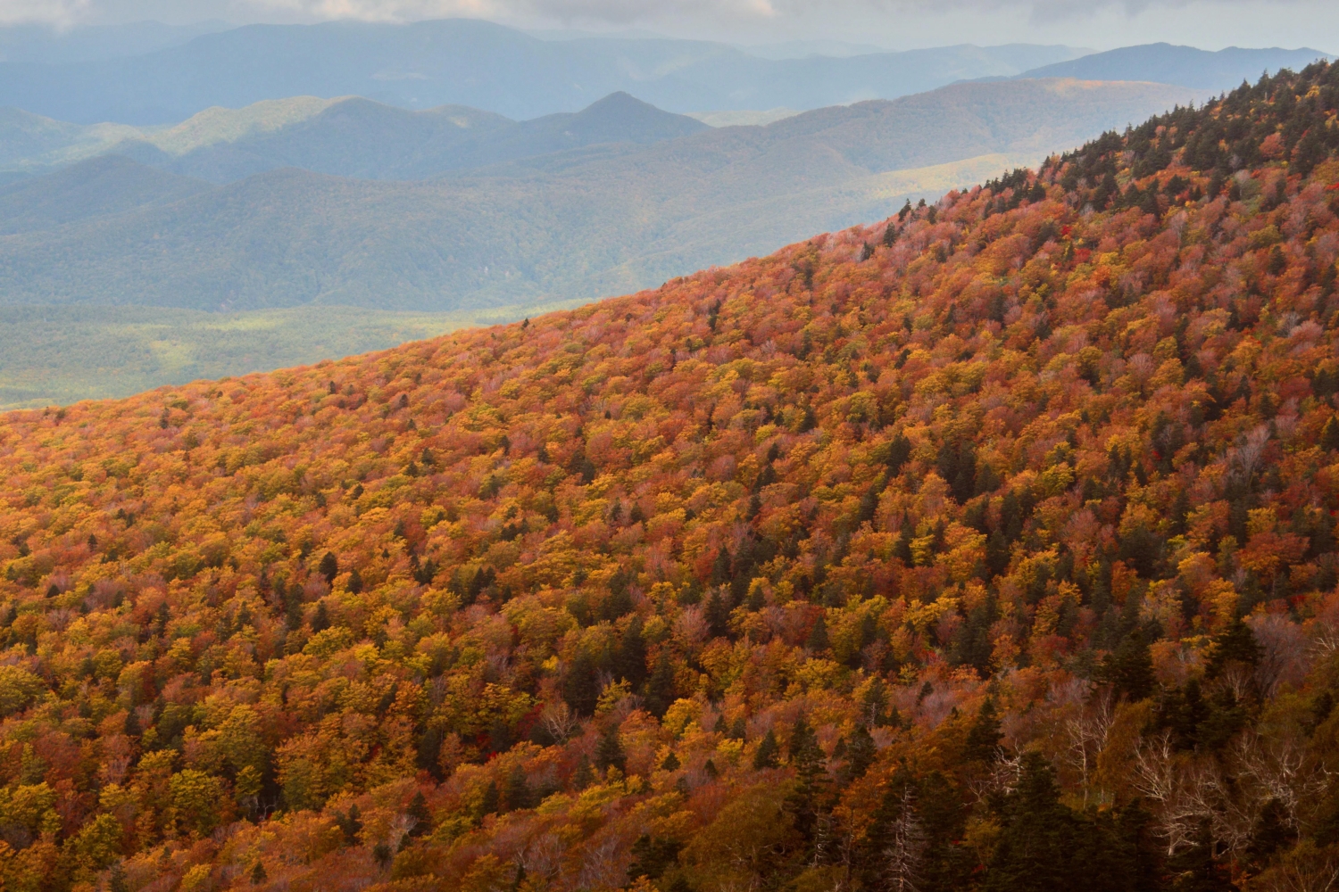 naturephotos34_015