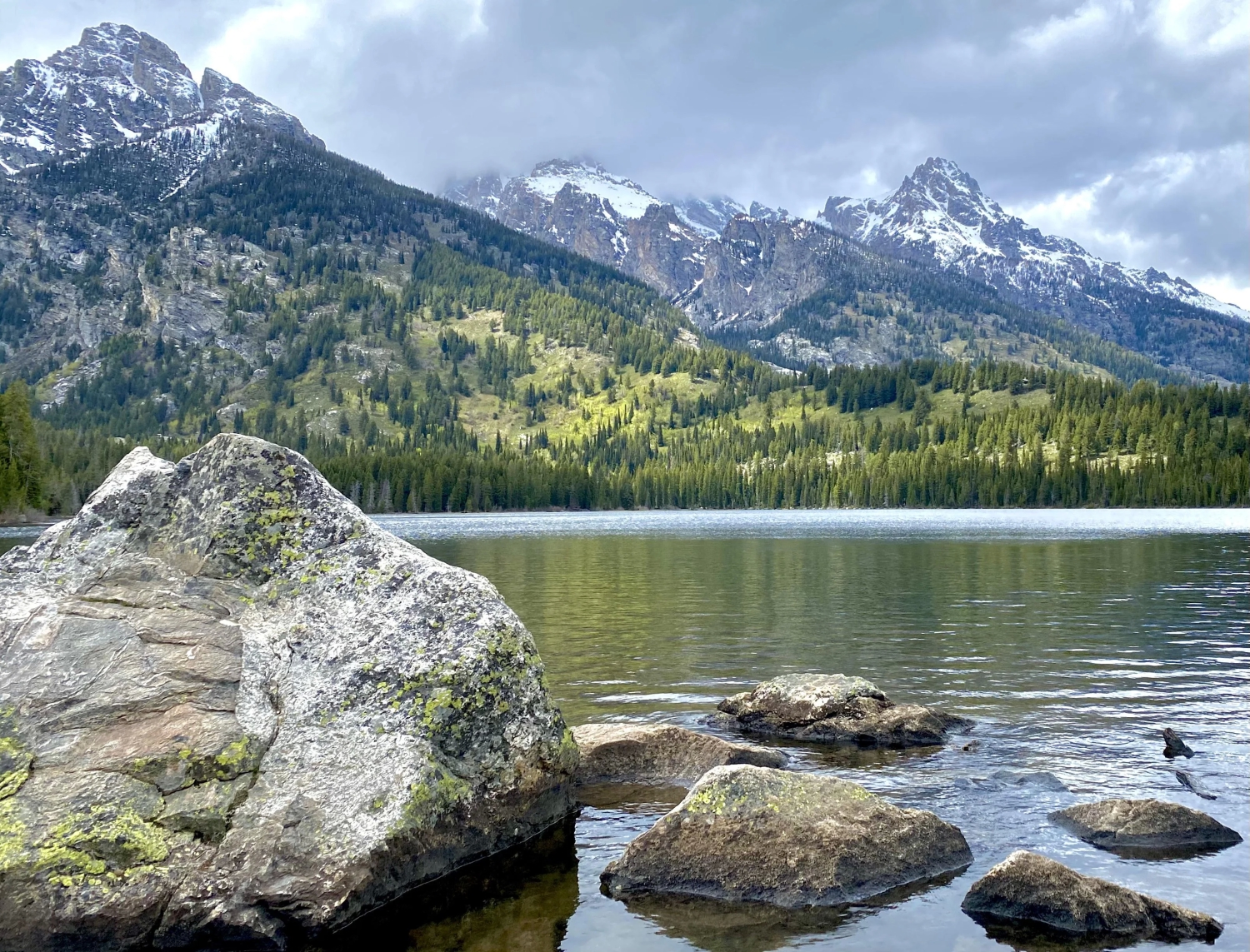 naturephotos34_017