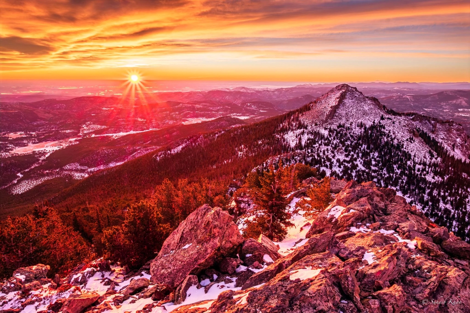 naturephotos34_019